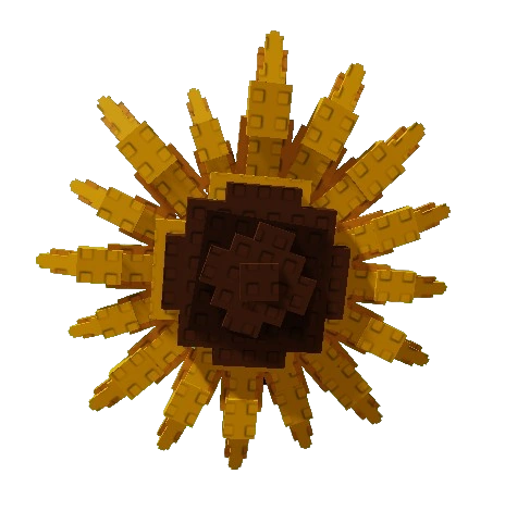 Sunflower Seed